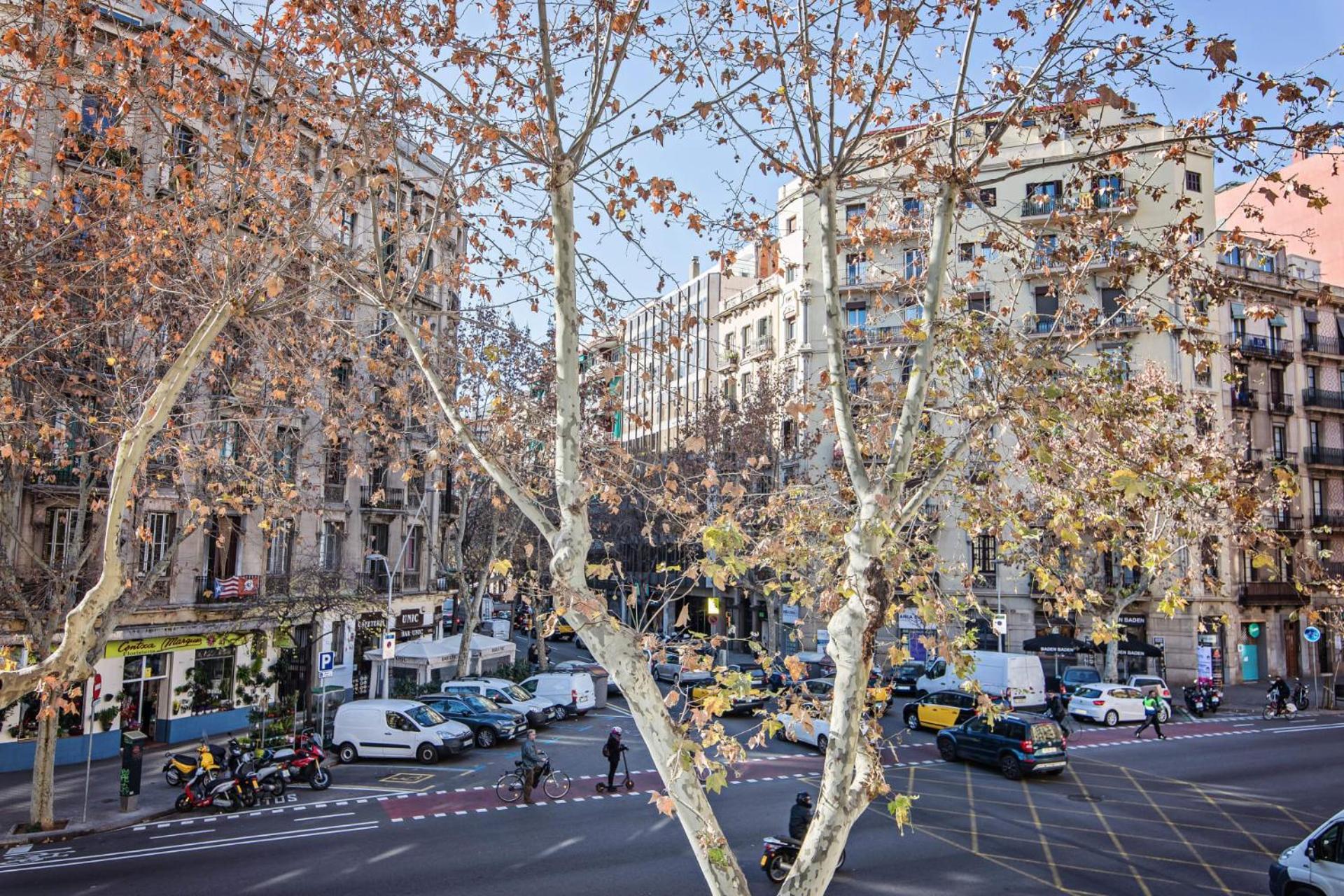 Comte Urgell Apartment Barcelona Luaran gambar